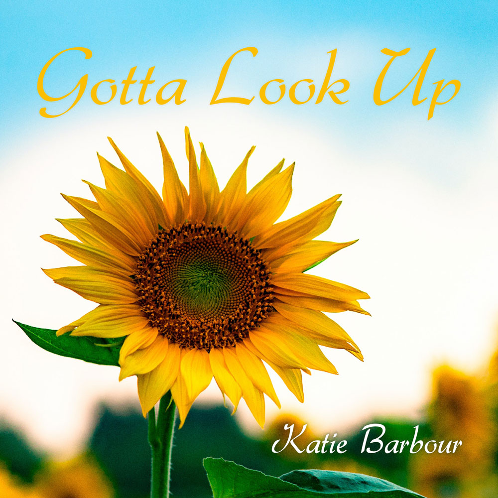 Gottalookup Coverart Finalweb